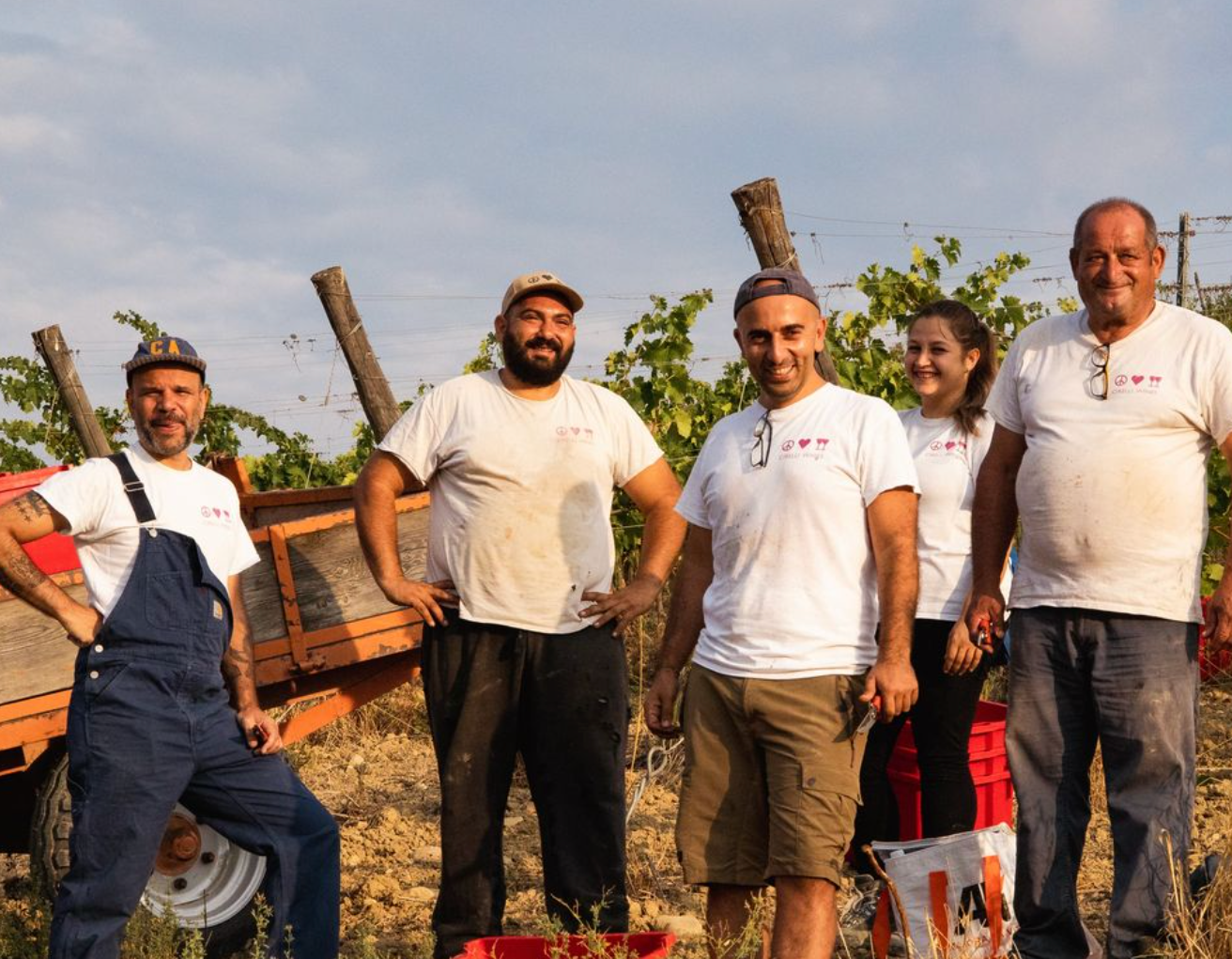 Cirelli harvest