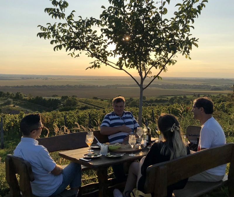 “Alfresco tasting room” in the Maria Valley vineyards overlooking the Danube on the horizon.